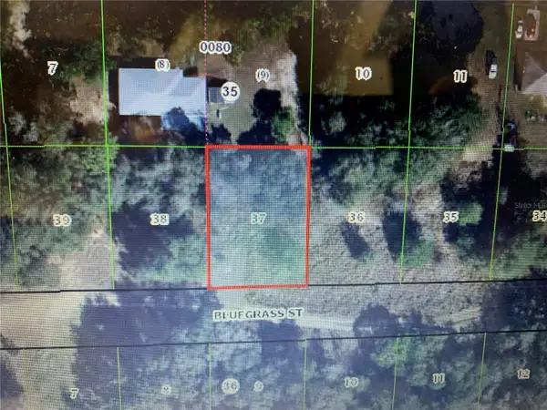 2408 Bluegrass Street, INVERNESS, FL 34453