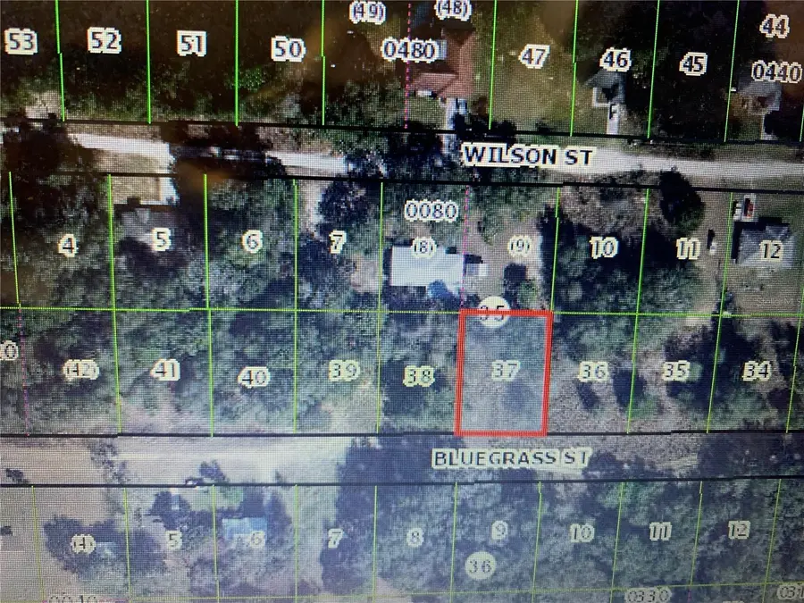 2408 Bluegrass Street, Inverness, FL 34453 - #3