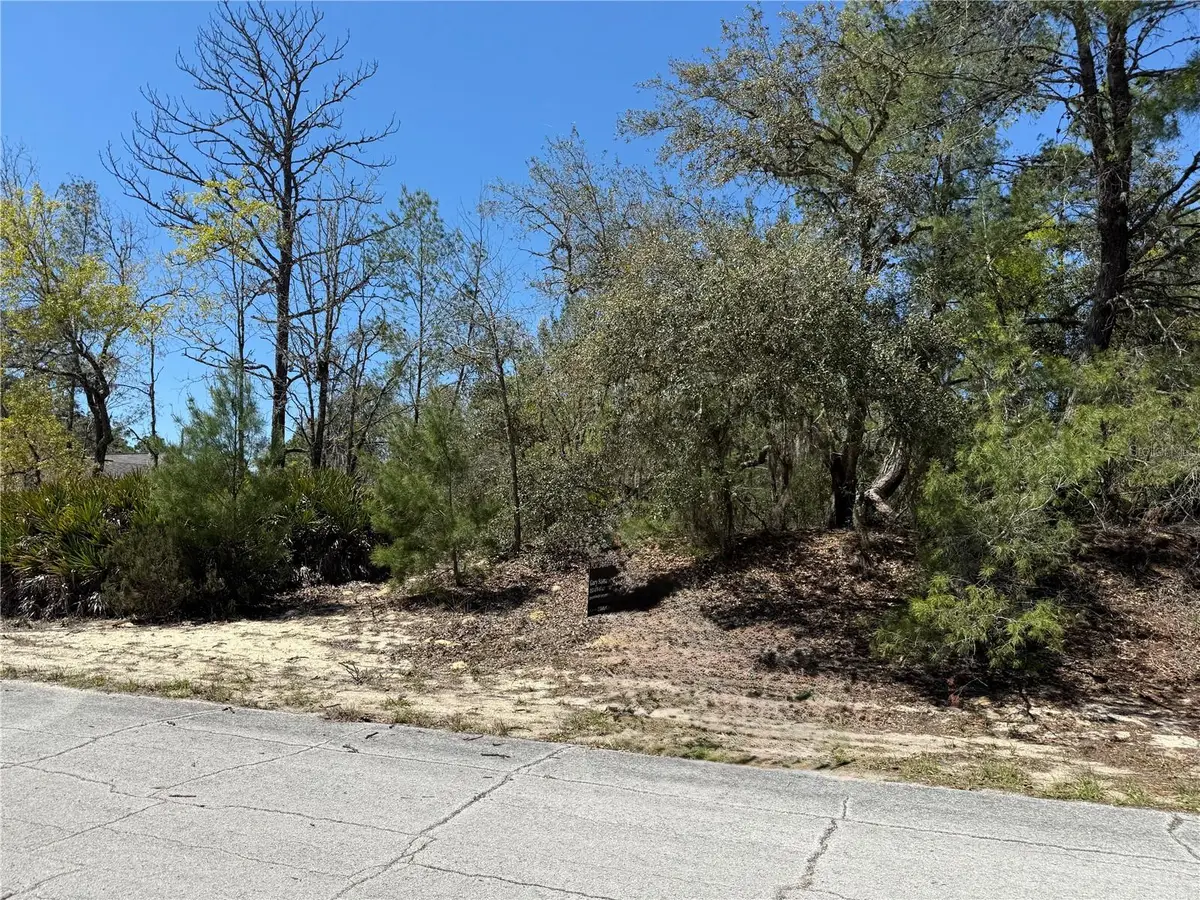 10762 N Moreno Drive, Dunnellon, FL 34433 - #1