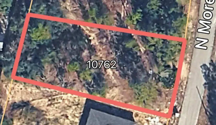 10762 N Moreno Drive, Dunnellon, FL 34433 - #3