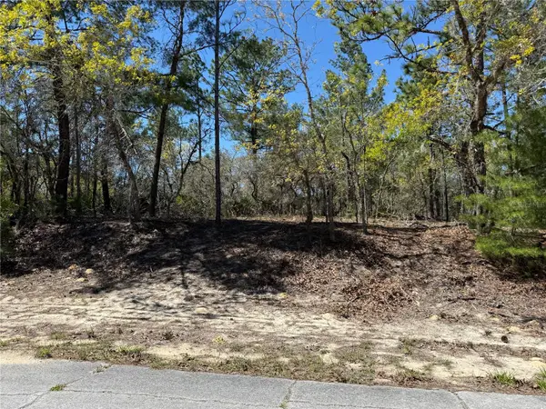 10776 N Moreno Drive, DUNNELLON, FL 34433