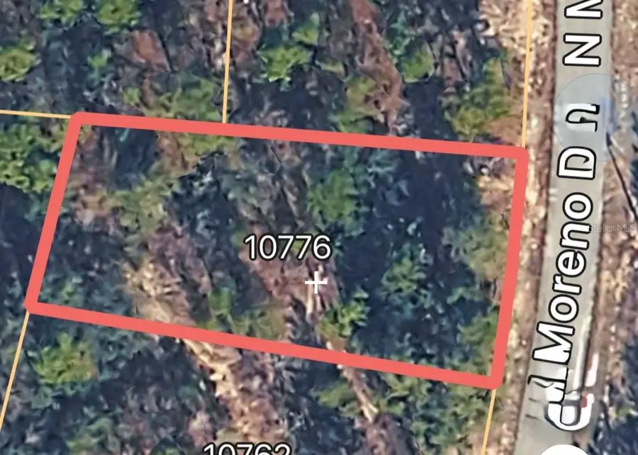 10776 N Moreno Drive, Dunnellon, FL 34433 - #3
