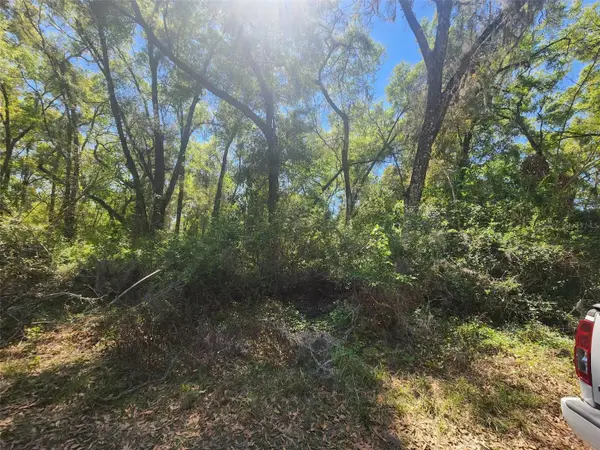 Se 28th Ct., SUMMERFIELD, FL 34491