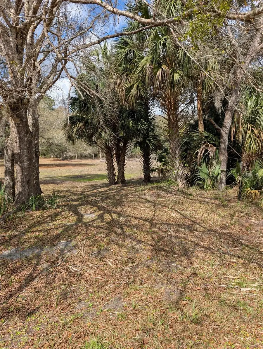 Lorie Street, Inglis, FL 34449 - #2