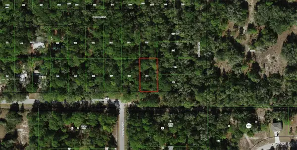 2797 W Grapevine Court, DUNNELLON, FL 34433