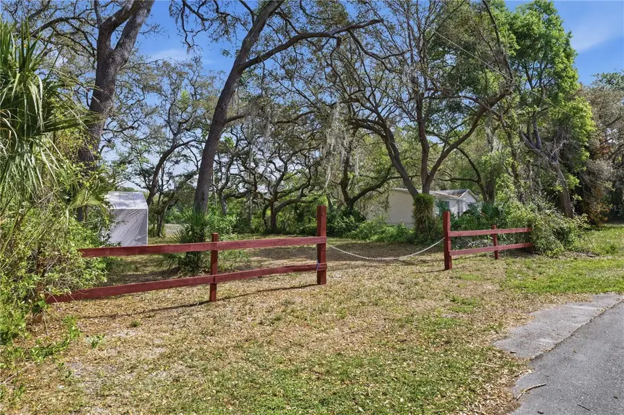 17195 SE 70th Street, Ocklawaha, FL 32179 - #2