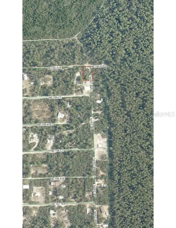 TBD NE 213th Street, Fort McCoy, FL 32134 - #1