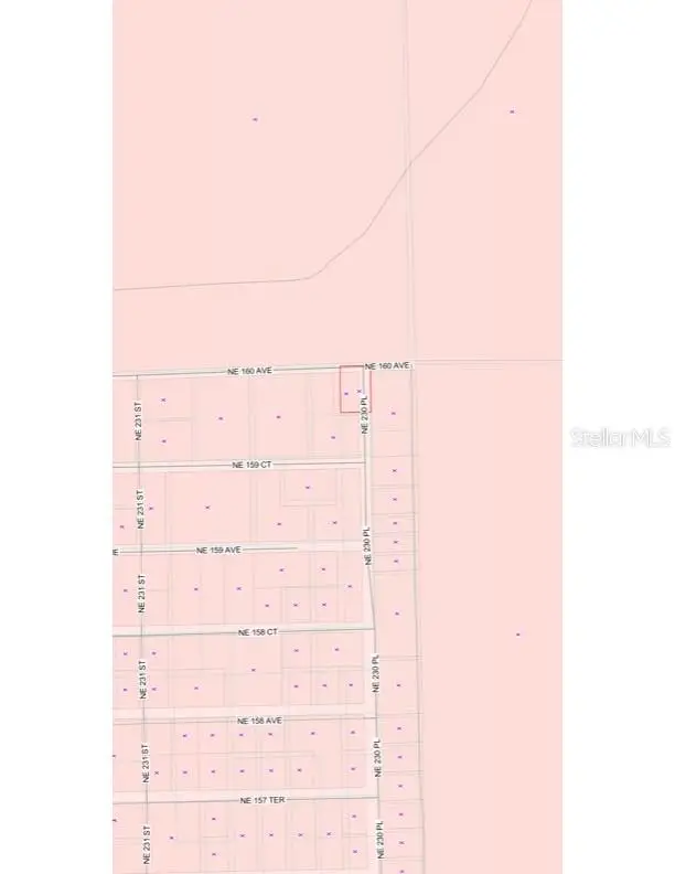 TBD NE 230th Place, Fort McCoy, FL 32134 - #2