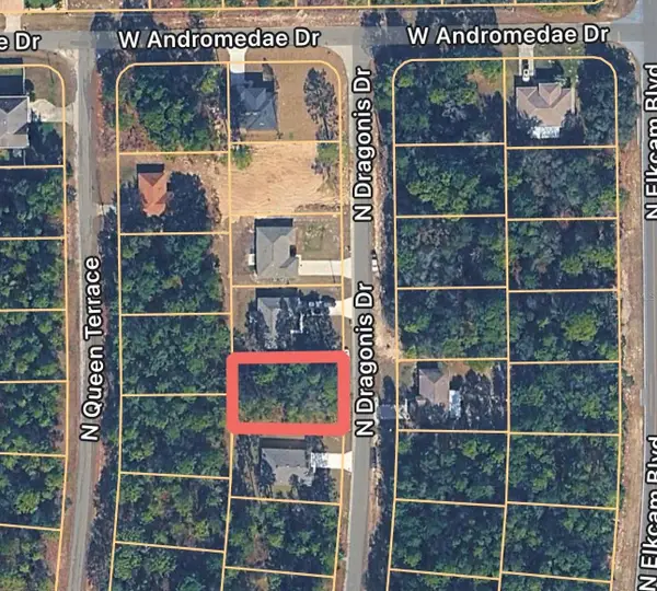 10924 N Dragonis Drive, CITRUS SPRINGS, FL 34433