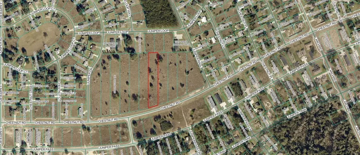 Chestnut Road, Ocala, FL 34480 - #1