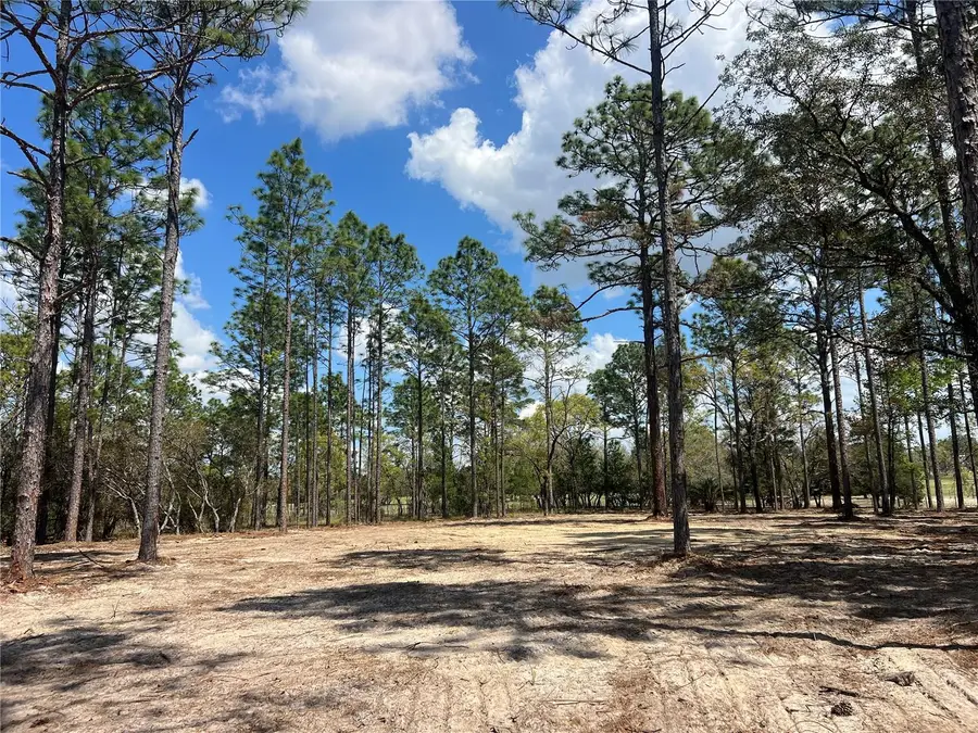 16 SE 136 Terrace, Dunnellon, FL 34431 - #2