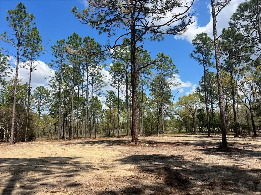 16 SE 136 Terrace, Dunnellon, FL 34431 - #3