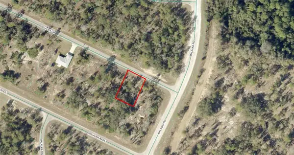 TBD Malauka Drive, OCKLAWAHA, FL 32179