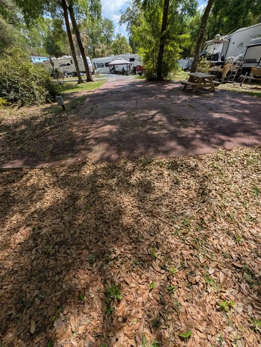 25215 NE 142nd Street, Salt Springs, FL 32134 - #3