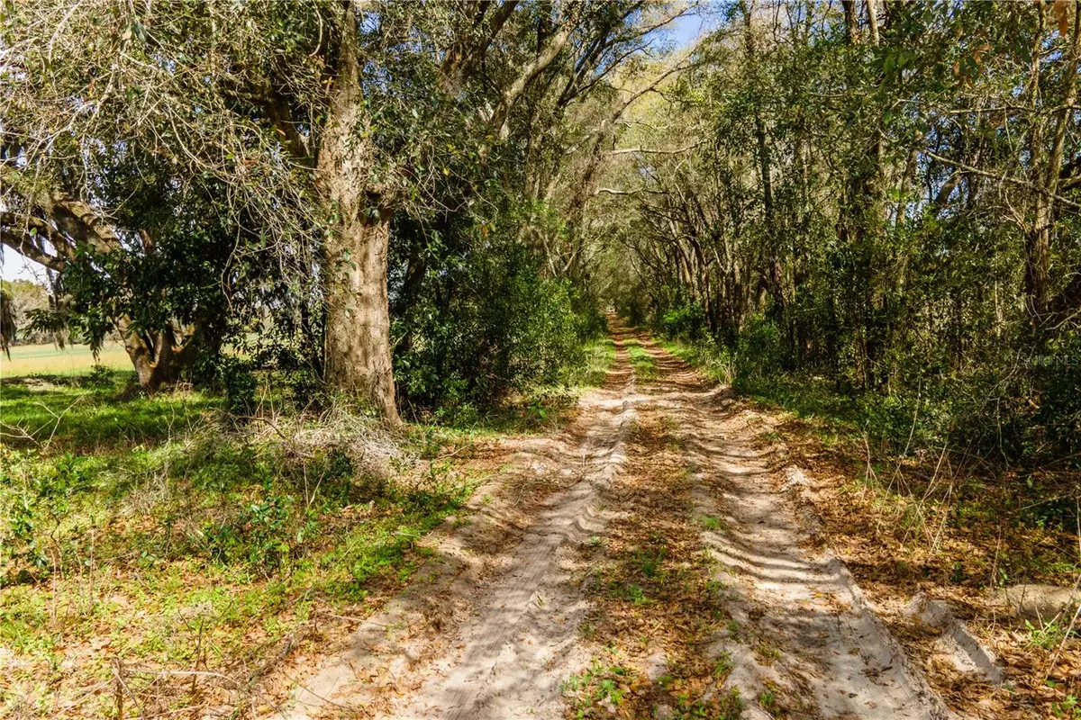TBD SW 298 Street, Newberry, FL 32669 - #1