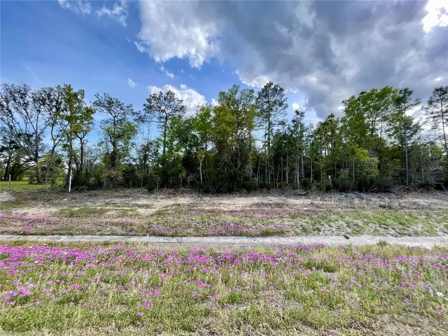 TBD NE Highway 27 Alt, Williston, FL 32696 - #2