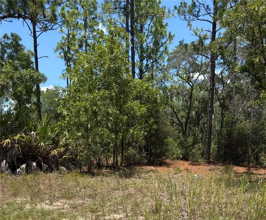 3711 W Norwick Place, Citrus Springs, FL 34433 - #2