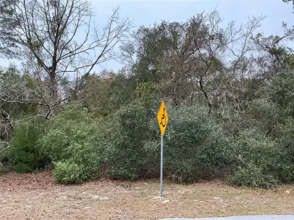 SW 137th Loop, OCALA, FL 34473