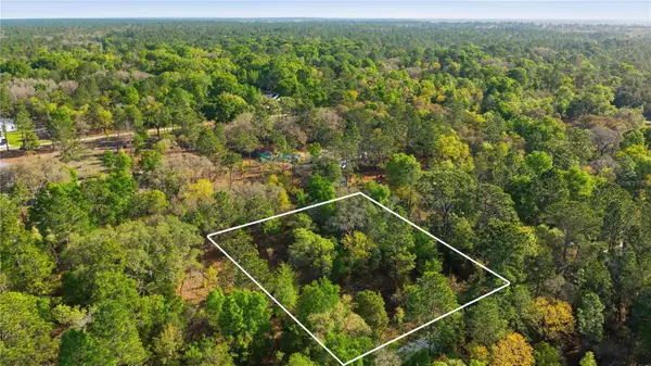 12701 SW 96th Lane, DUNNELLON, FL 34432