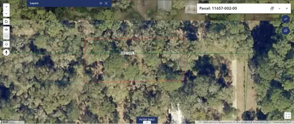 23714 NE 119th Place, SALT SPRINGS, FL 32134