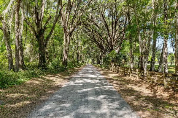 6405 NW 165th Street, REDDICK, FL 32686