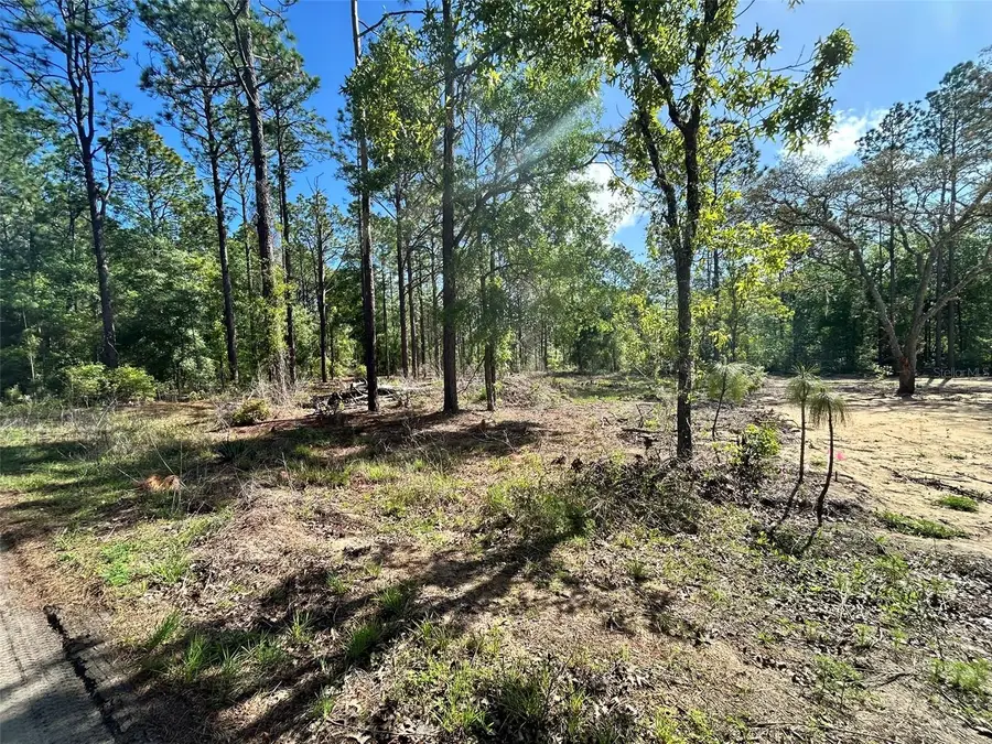 TBD SW 157th Avenue #4, Ocala, FL 34481 - #2