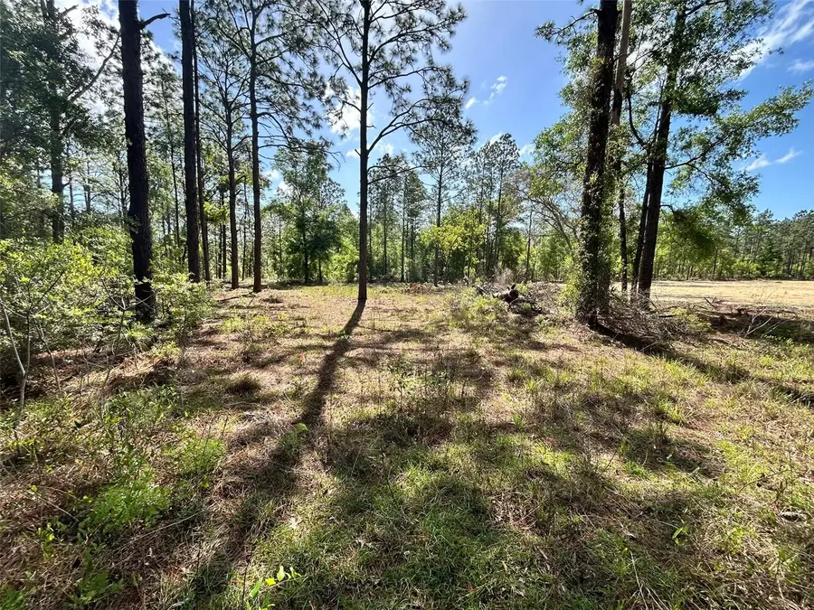 TBD SW 157th Avenue #4, Ocala, FL 34481 - #3