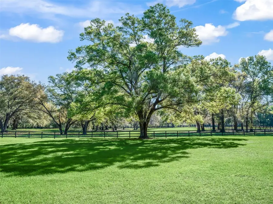 TBD Carry Back Road, Ocala, FL 34482 - #2