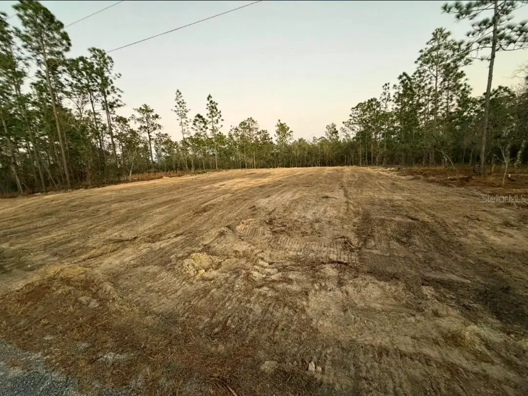 LOT 14 SE 129th Court, Dunnellon, FL 34431 - #1