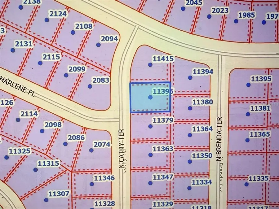 11395 N Cathy Terrace, Citrus Springs, FL 34434 - #2