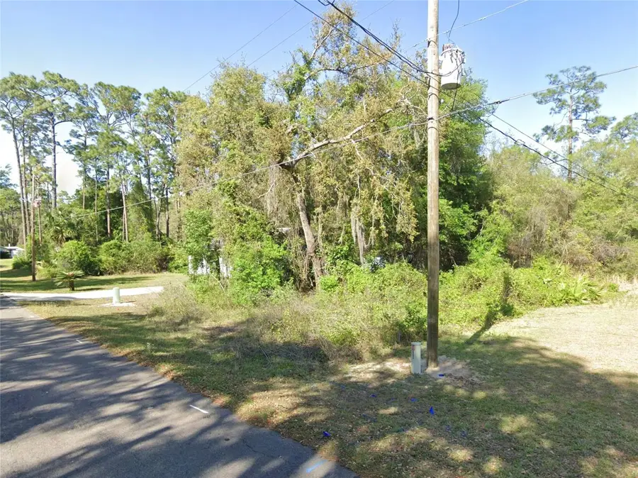 SE 178th Avenue, Silver Springs, FL 34488 - #3
