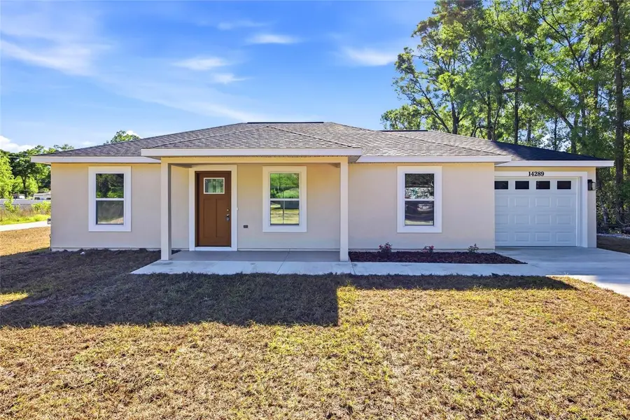 14289 SE 43rd Terrace, Summerfield, FL 34491 - #3