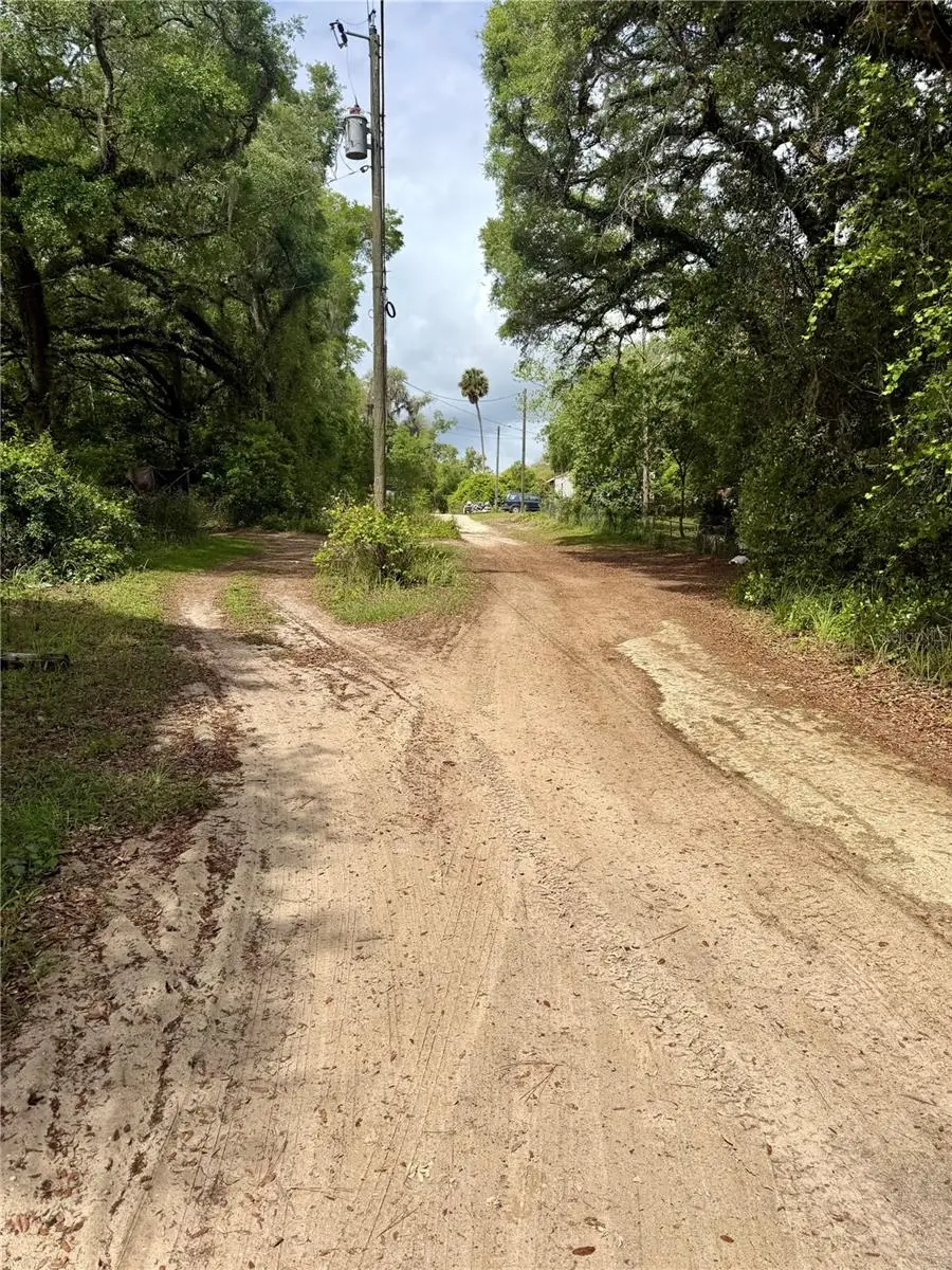 TBD NE 130 Place, Salt Springs, FL 32134 - #3