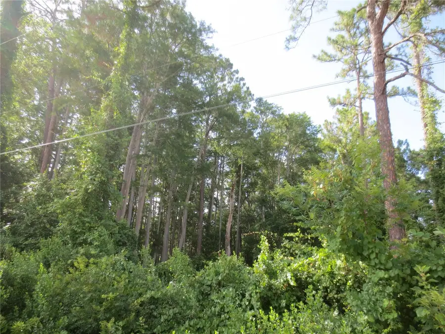 14655 NE 14th Street Road, Silver Springs, FL 34488 - #3