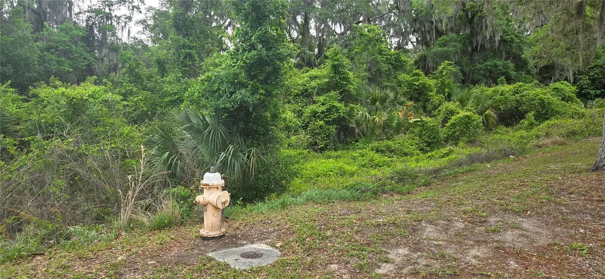 2392 N Heritage Oaks Path, Hernando, FL 34442 - #1