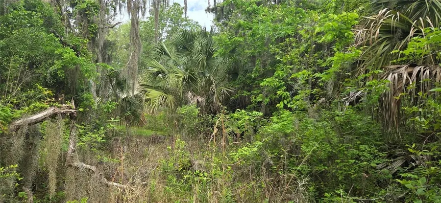 2392 N Heritage Oaks Path, Hernando, FL 34442 - #3