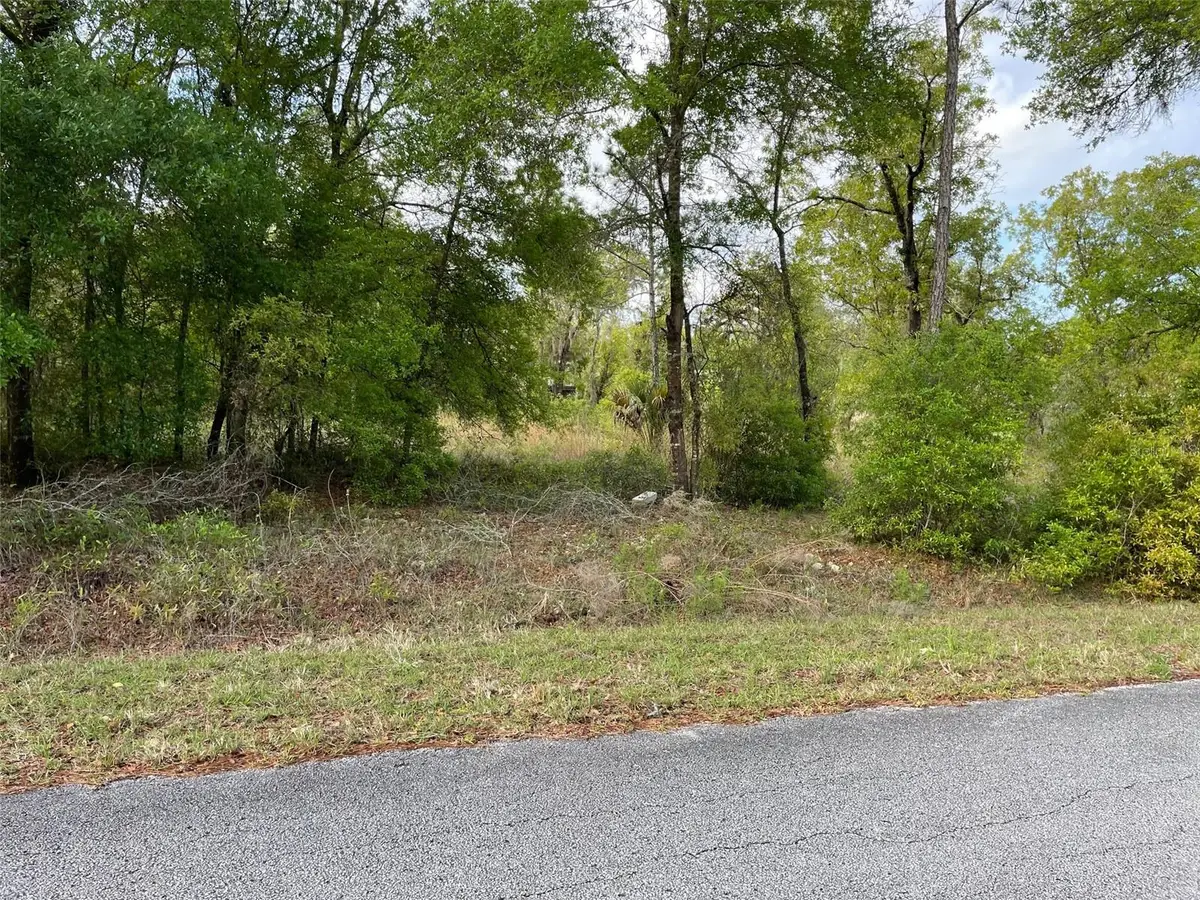LOT 4 SW Lakeland Heights Avenue, Dunnellon, FL 34431 - #1
