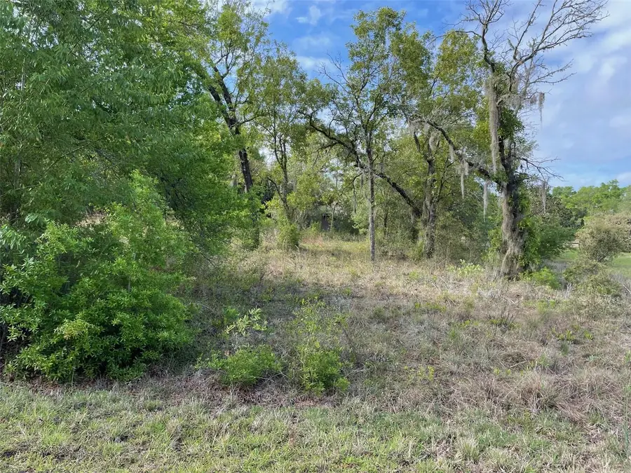 LOT 4 SW Lakeland Heights Avenue, Dunnellon, FL 34431 - #2