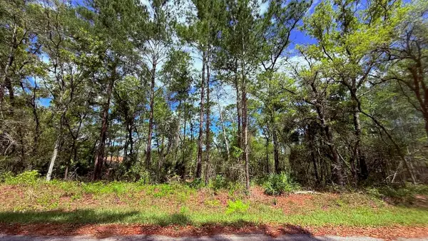Lot 15 Bay Court, OCKLAWAHA, FL 32179