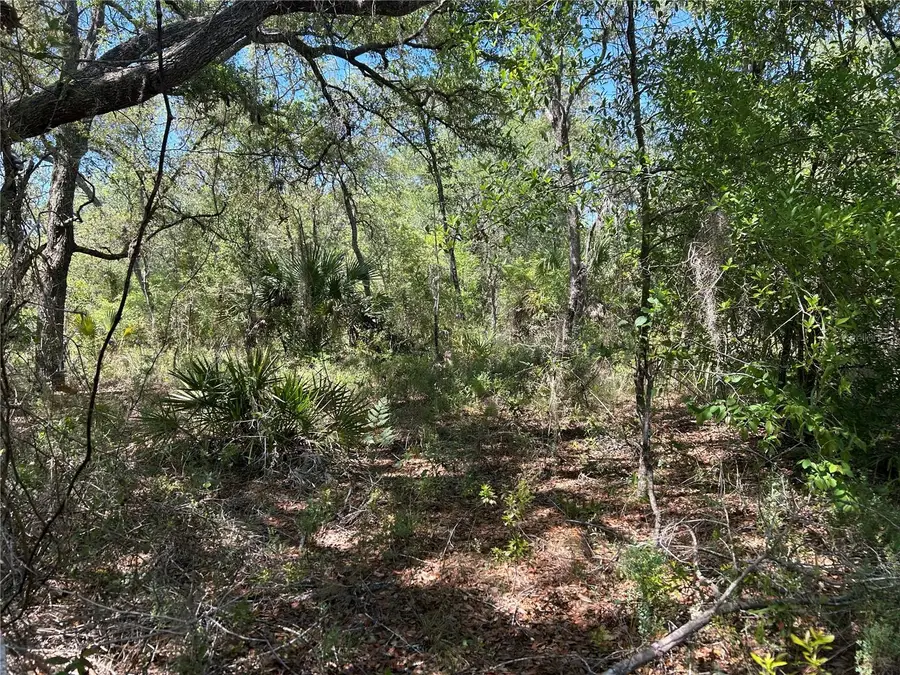 TBD SE 62nd, Morriston, FL 32668 - #2