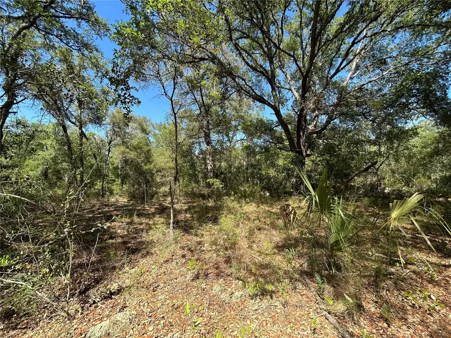 TBD SE 62nd, Morriston, FL 32668 - #3