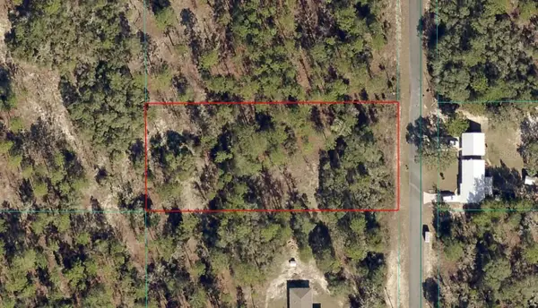 TBD LOT 2 SE Persimmon Land, DUNNELLON, FL 34431
