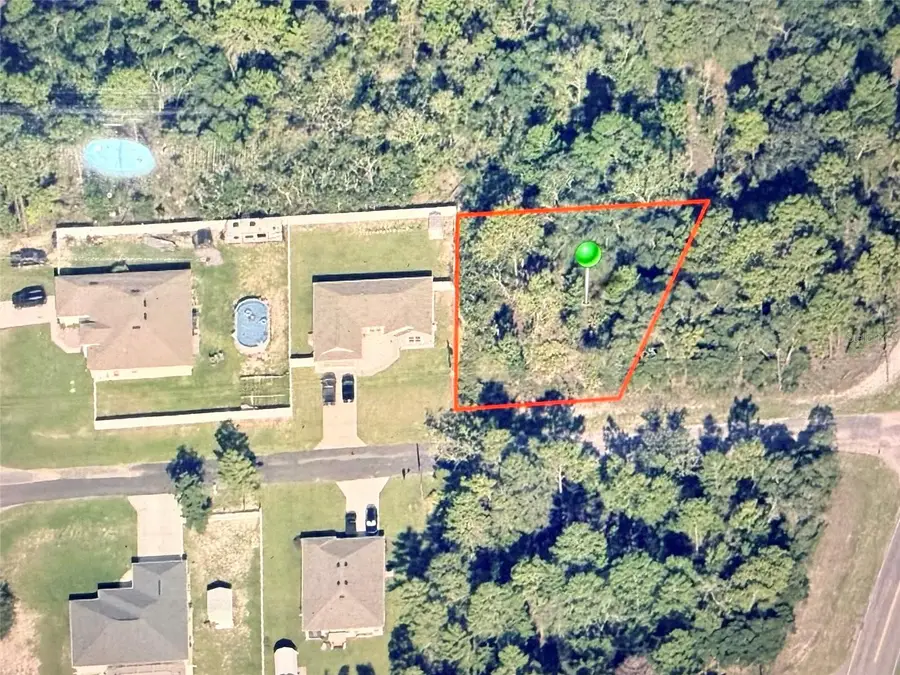 7327 N Lime Drive, Citrus Springs, FL 34433 - #2