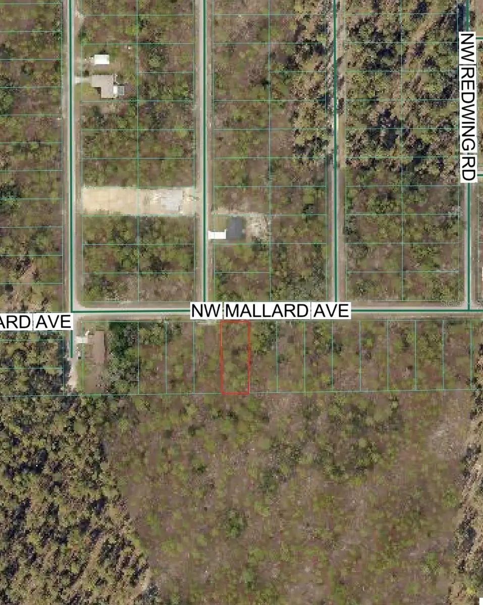 NW Mallard Avenue, Dunnellon, FL 34431 - #1