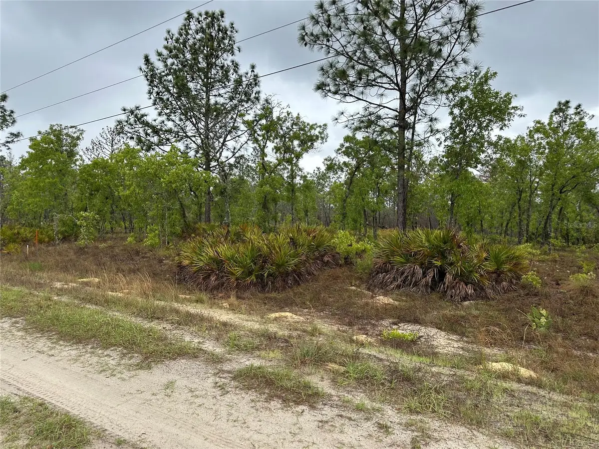 Sw 95th Pl, Dunnellon, FL 34432 - #1