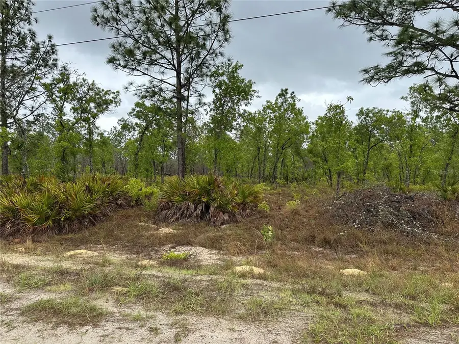 Sw 95th Pl, Dunnellon, FL 34432 - #2