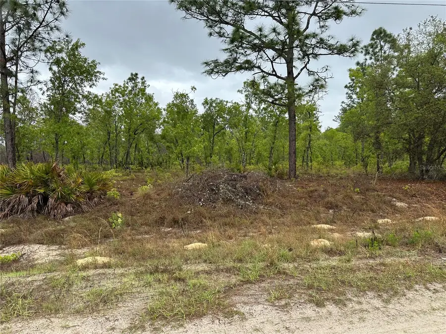 Sw 95th Pl, Dunnellon, FL 34432 - #3