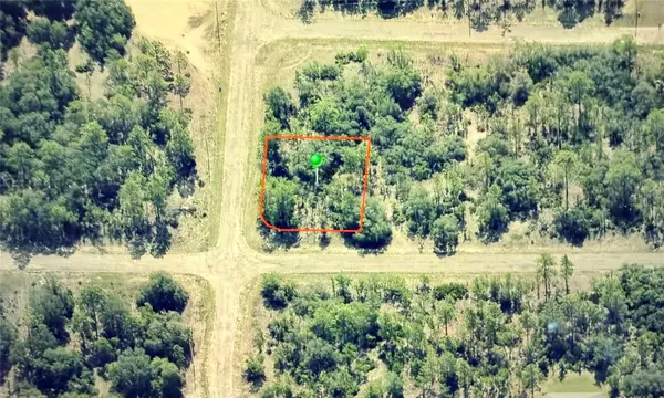6679 N Northvale Terrace, DUNNELLON, FL 34433