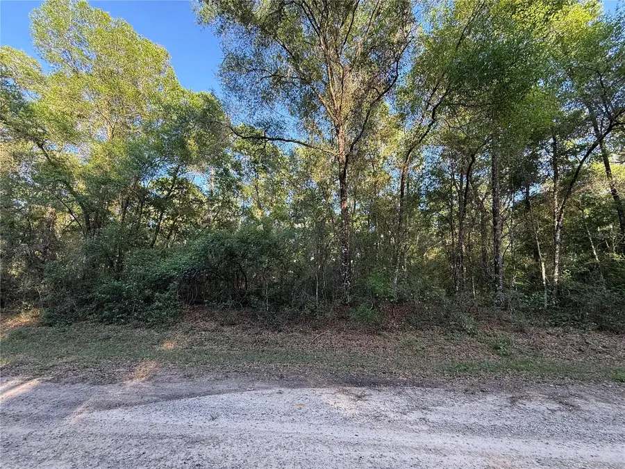 780 E Elgrove Drive, Dunnellon, FL 34434 - #2