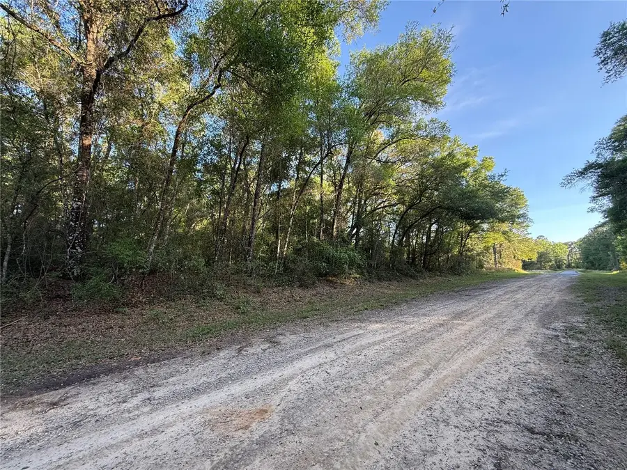 780 E Elgrove Drive, Dunnellon, FL 34434 - #3